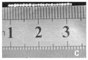 A kind of enzyme-loaded silicon oxide millimeter sphere and its preparation method and application