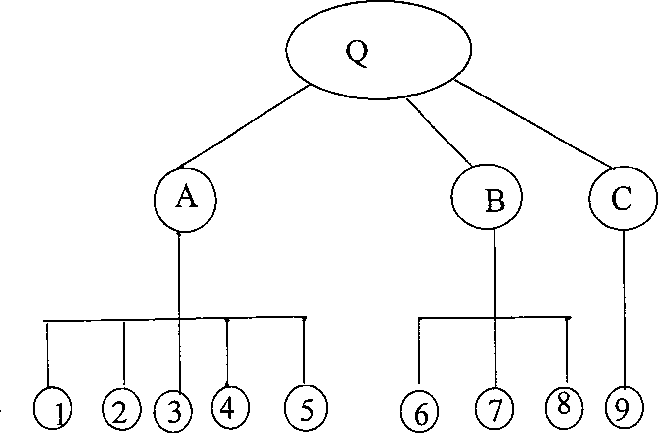 Three-dimensional anti-fake identification card and its anti-fake method