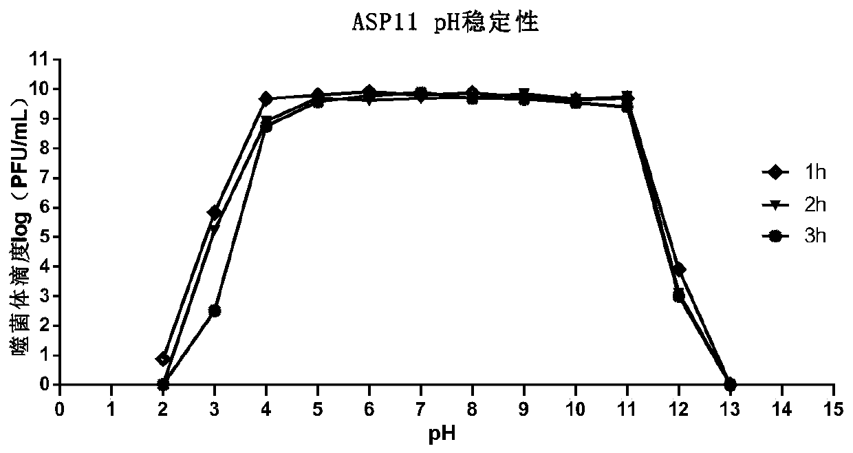 A strain of Pseudomonas aeruginosa phage and its application