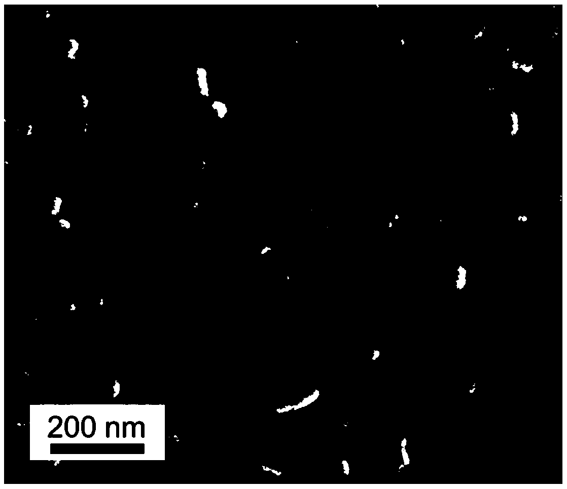 Preparation method and application of a homogeneous barrier layer/skeleton titanium dioxide structure