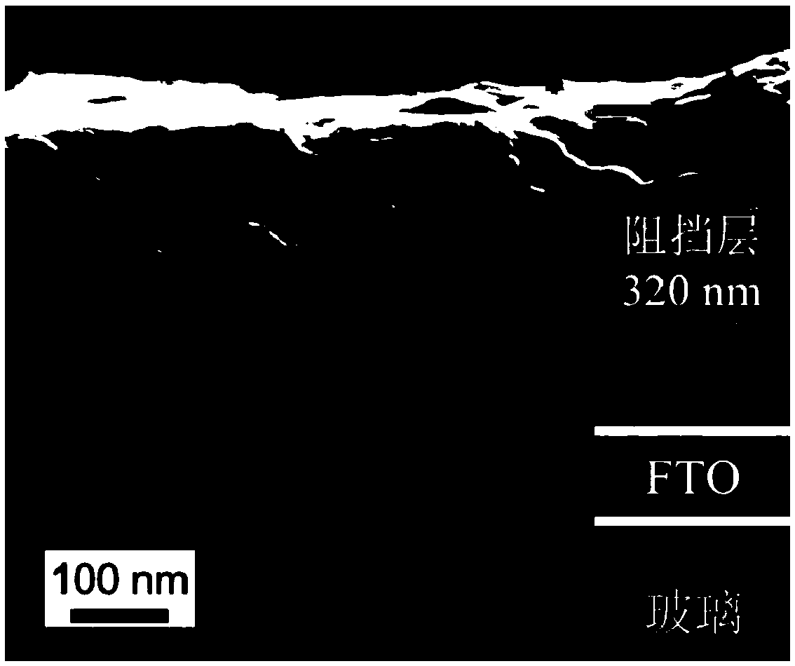 Preparation method and application of a homogeneous barrier layer/skeleton titanium dioxide structure