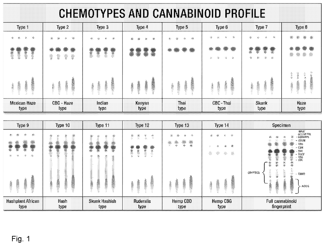 Pharmaceutical composition comprising tetrahydrocannabivarin for the prevention and treatment of overweight