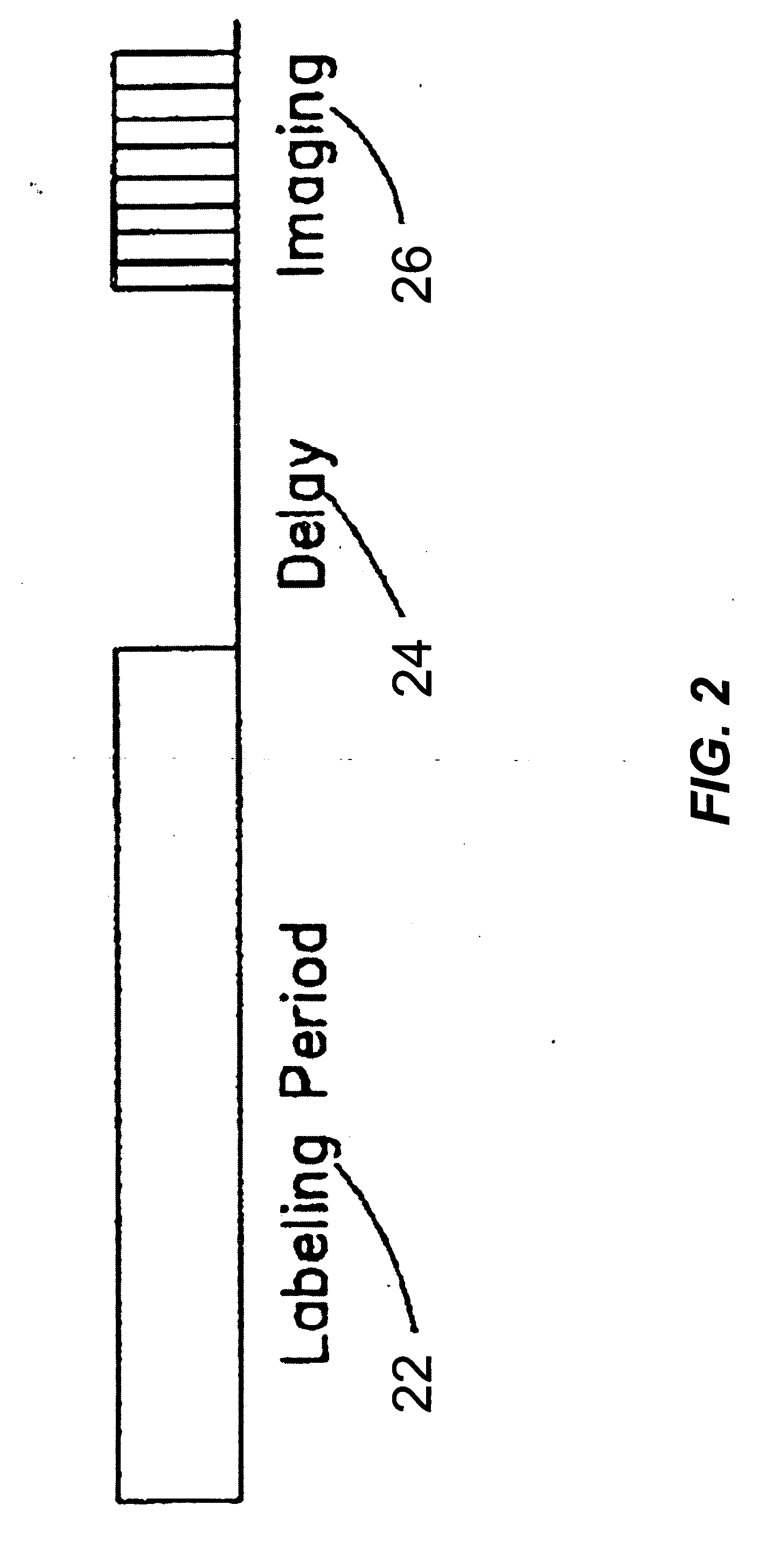 Arterial spin labeling with pulsed radio frequency sequences