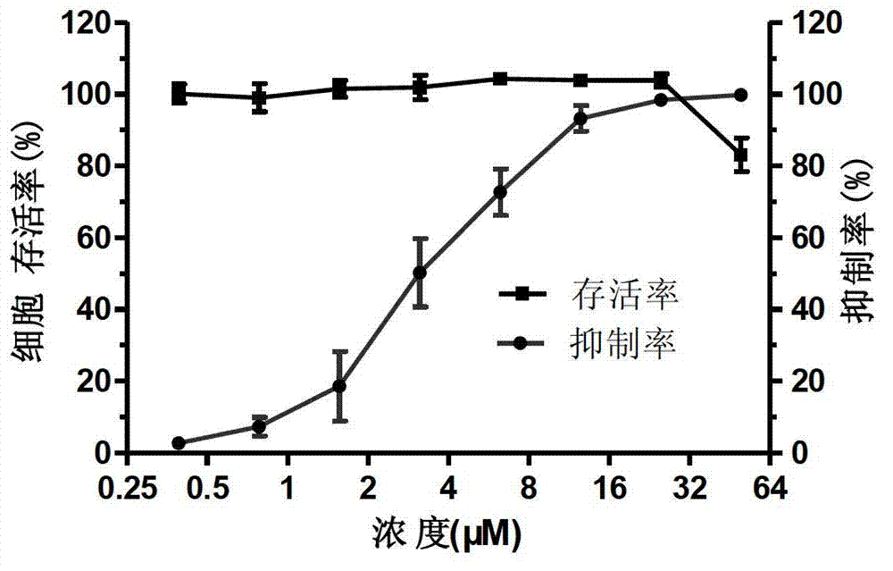 Application of punicalin in preparation of medicine for treating or preventing hepatitis C virus infection