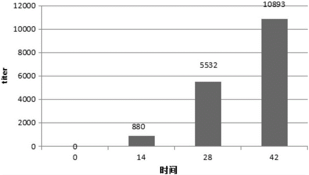 Preparation method of egg yolk antibody containing helicobacter pylori resisting IgY and application