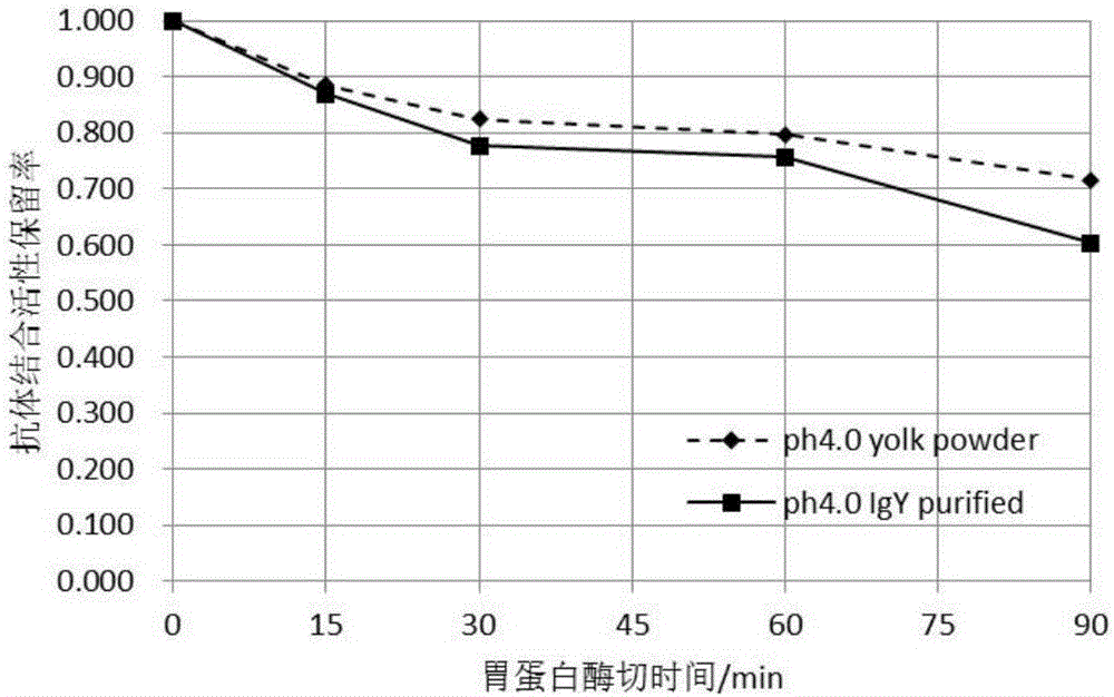 Preparation method of egg yolk antibody containing helicobacter pylori resisting IgY and application