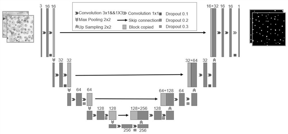 Intelligent cervical cancer cell detection method based on deep learning