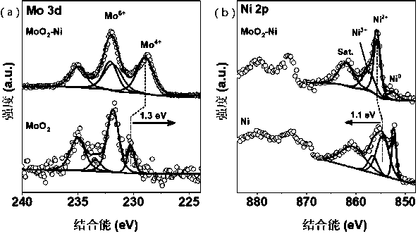 MoO2-Ni/CC composite material of hydrogen evolution electrocatalyst, and preparation method