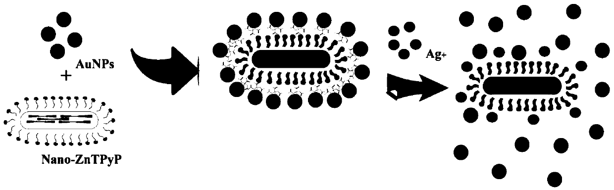 Method for rapid and visual paper sensing detection of heavy metal silver ions