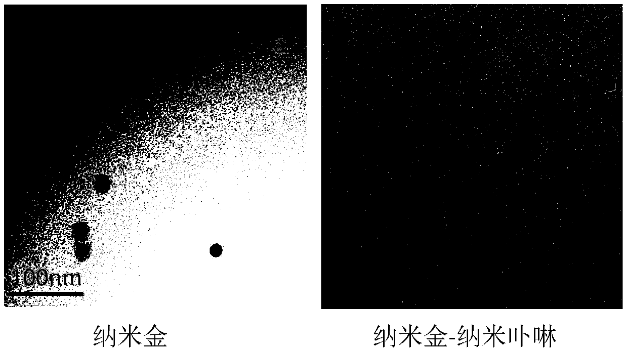 Method for rapid and visual paper sensing detection of heavy metal silver ions