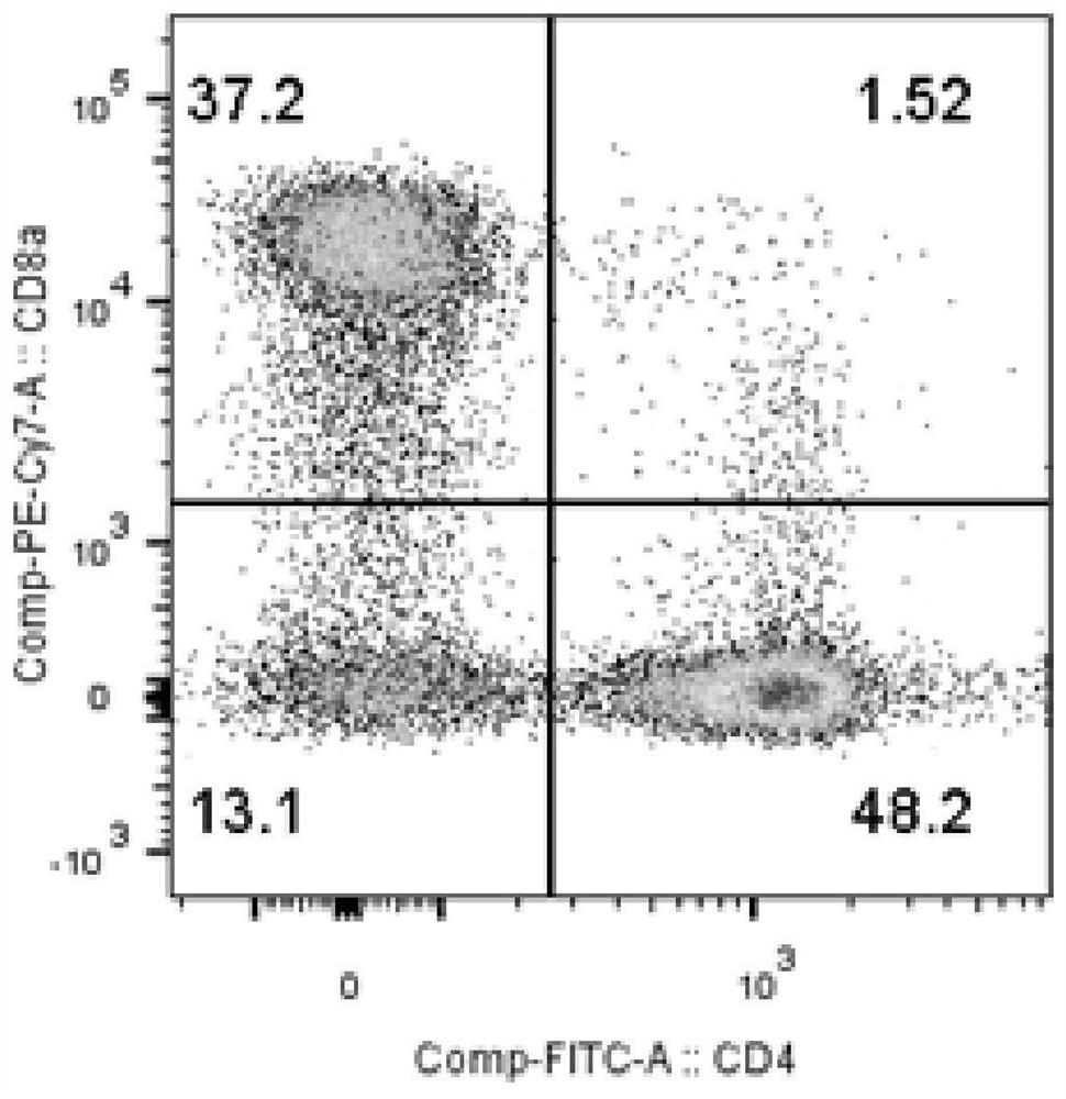 Multi-specific single chain antibody and application thereof