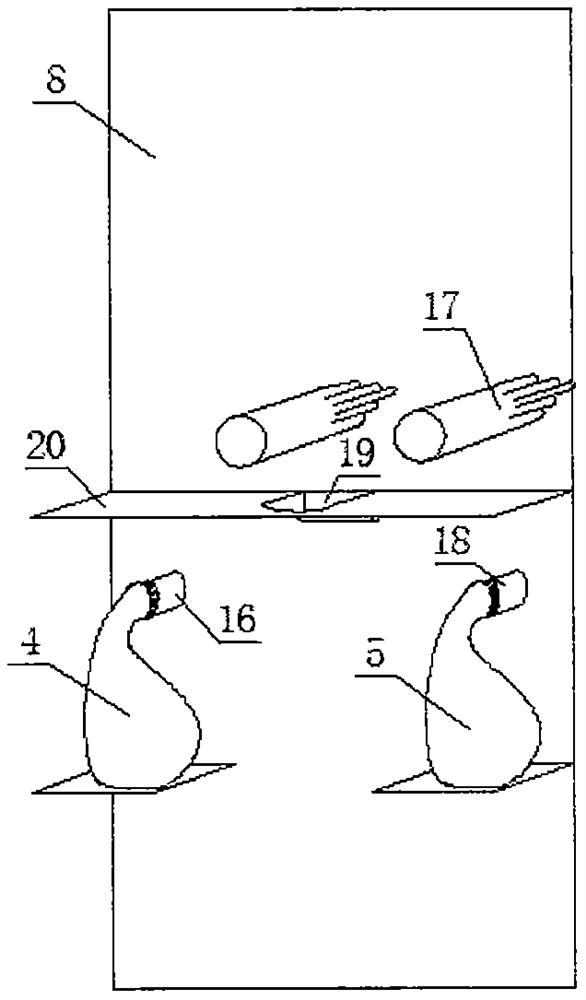 Throat swab sampling safety protection operation apparatus