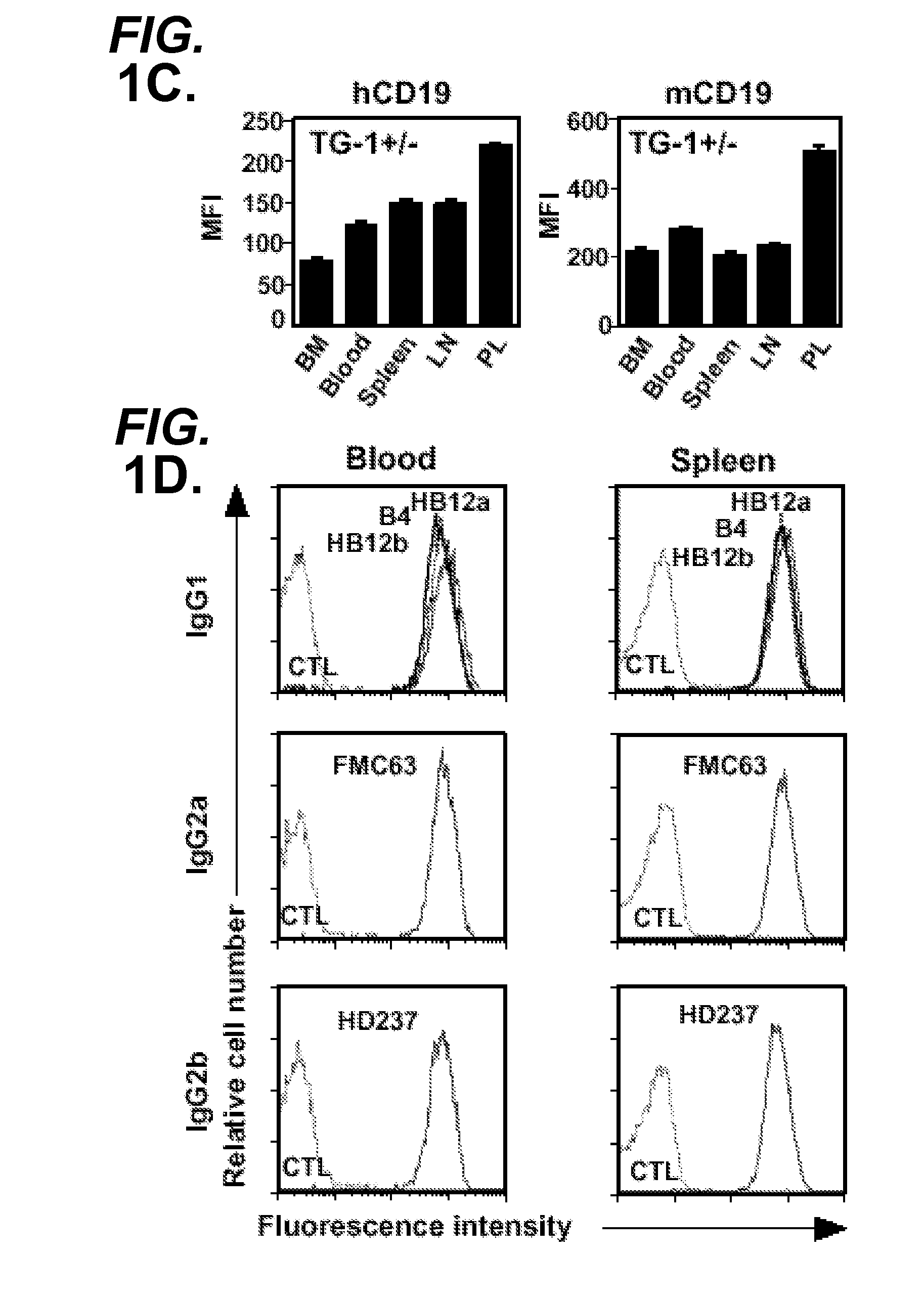 Anti-cd19 antibodies and uses in oncology