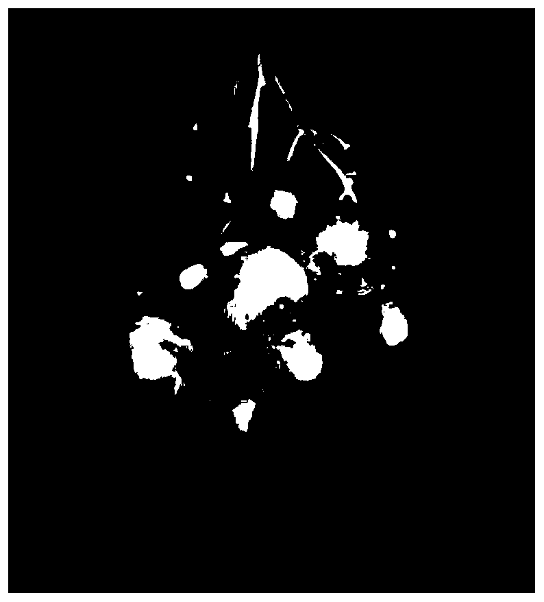 On-line visual inspection and classification device and method for red grape fruit powder