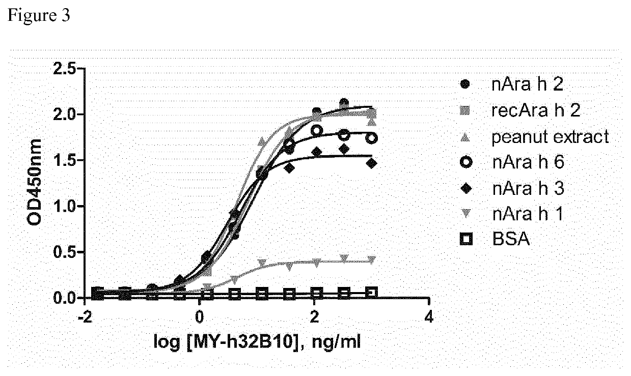 Anti-allergen antibodies