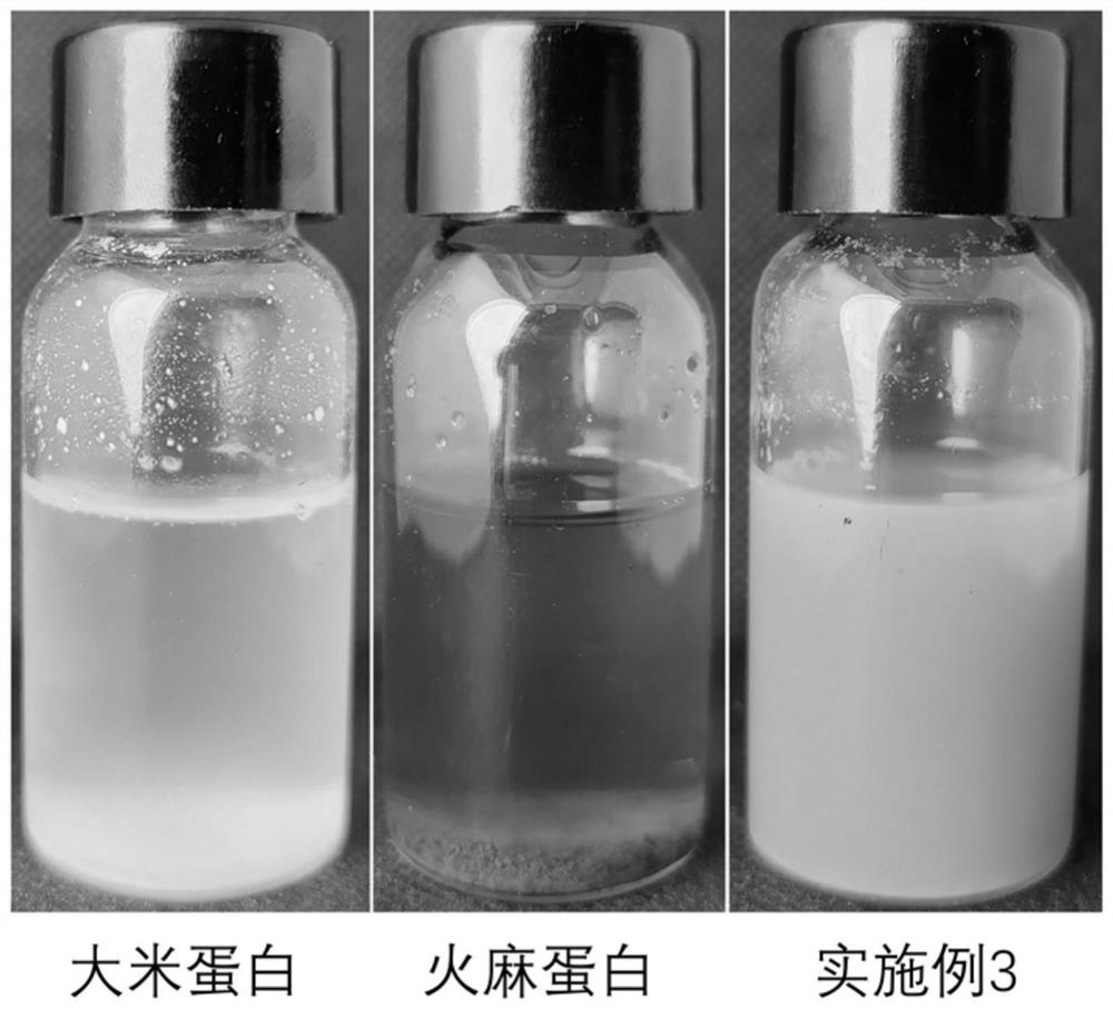 Method for improving solubility of dual hydrophobic protein