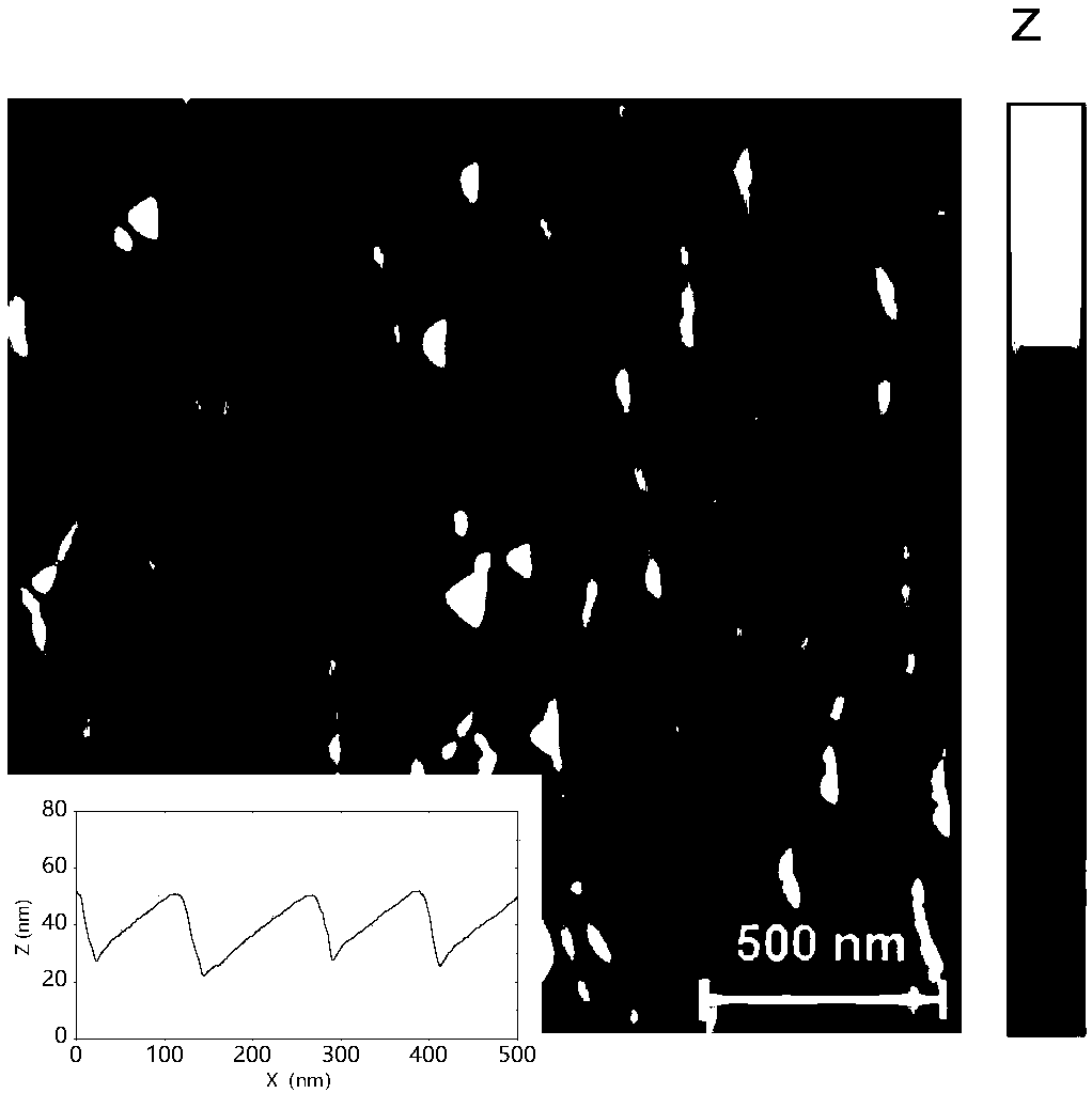 Ion bombardment preparation method for self-organizing nano-structure with saw-toothed outline