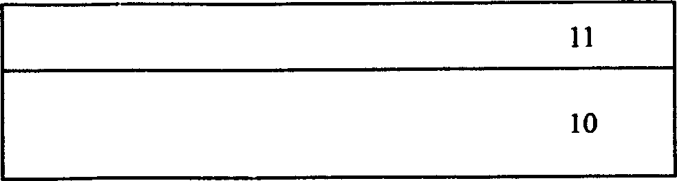 Method for preparing gallium nitride single crystal film