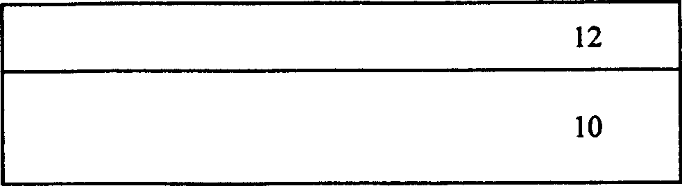 Method for preparing gallium nitride single crystal film