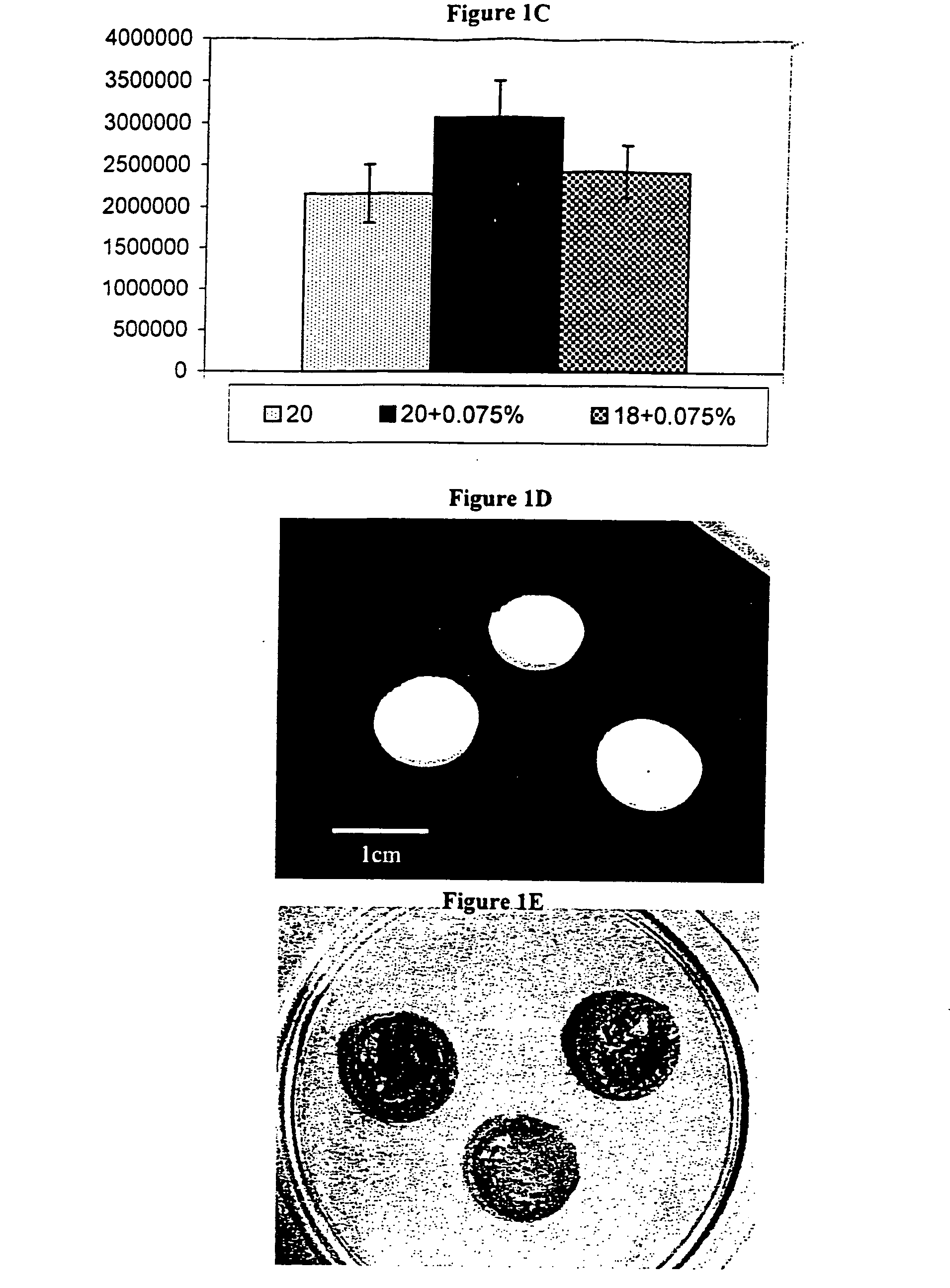 Freeze-dried fibrin matrices and methods for preparation thereof