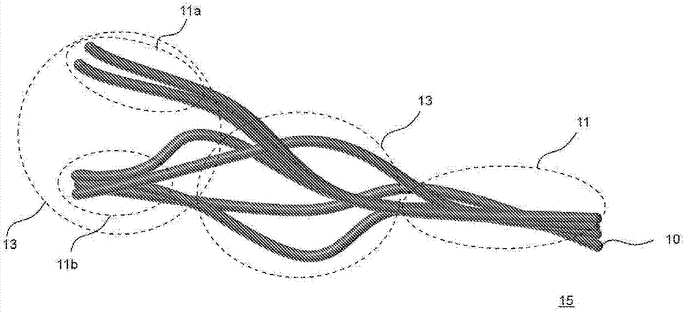 Carbon nanotube composite material and heat conductor