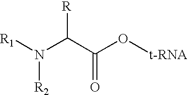 Method for producing diverse libraries of encoded polymers