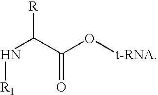 Method for producing diverse libraries of encoded polymers