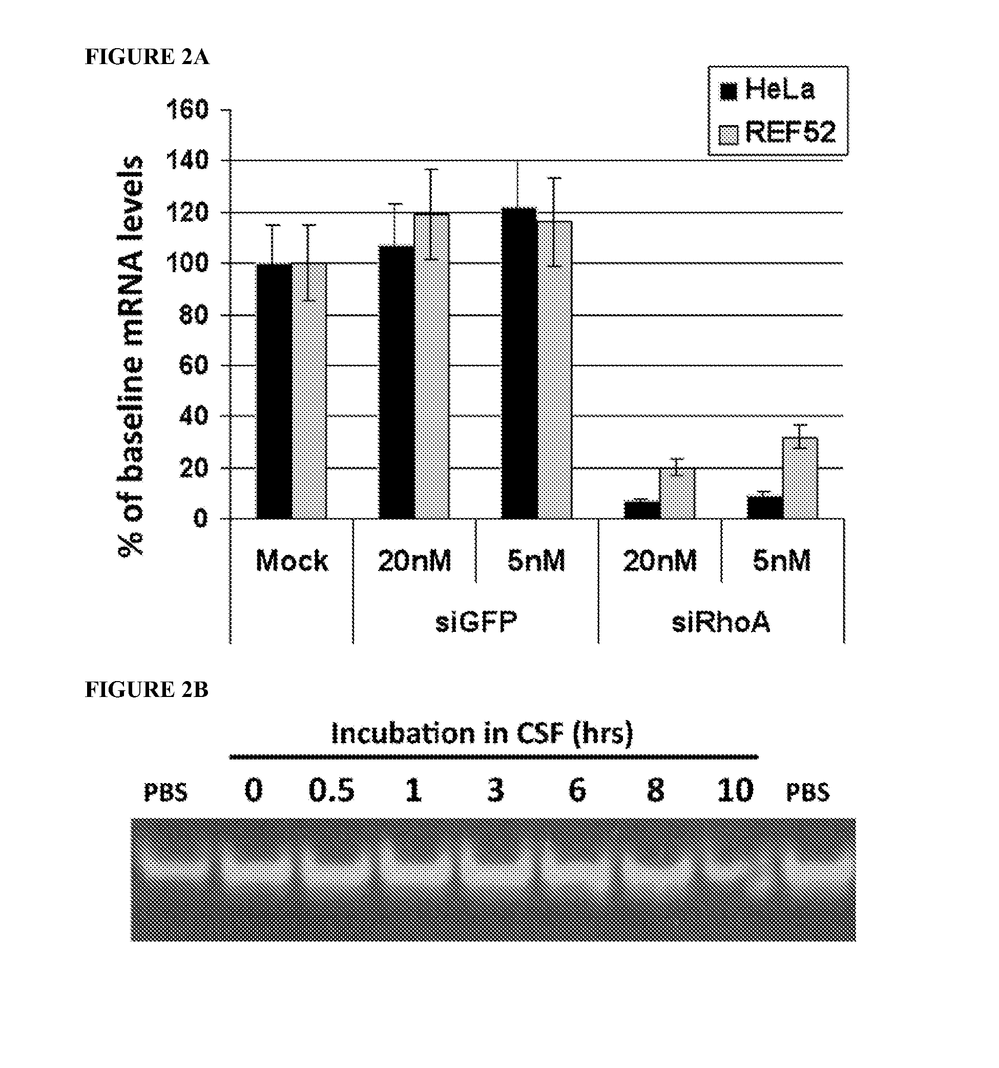 Methods for delivery of siRNA to the spinal cord and therapies arising therefrom