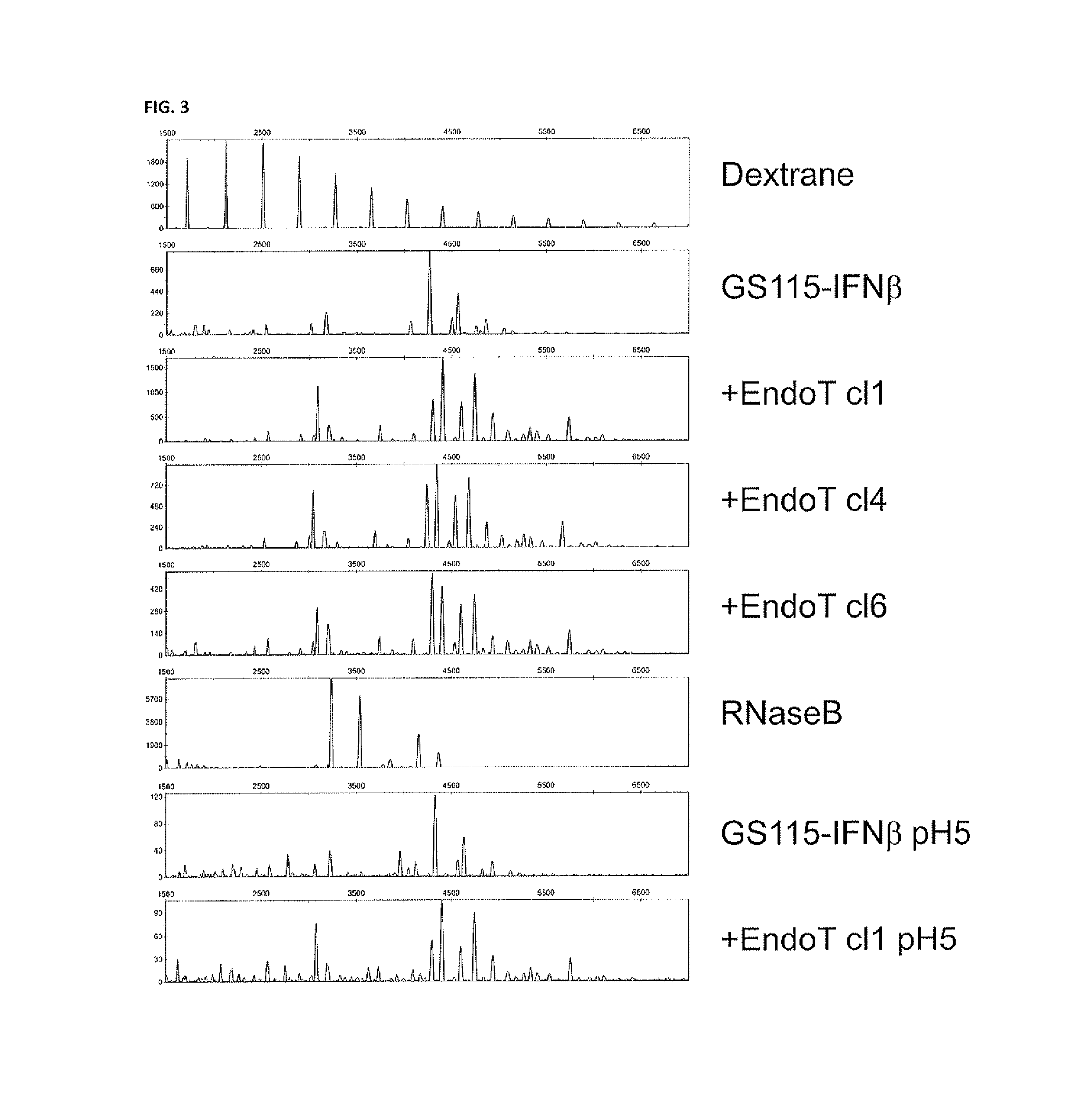 Cells producing glycoproteins having altered glycosylation patterns and method and use thereof