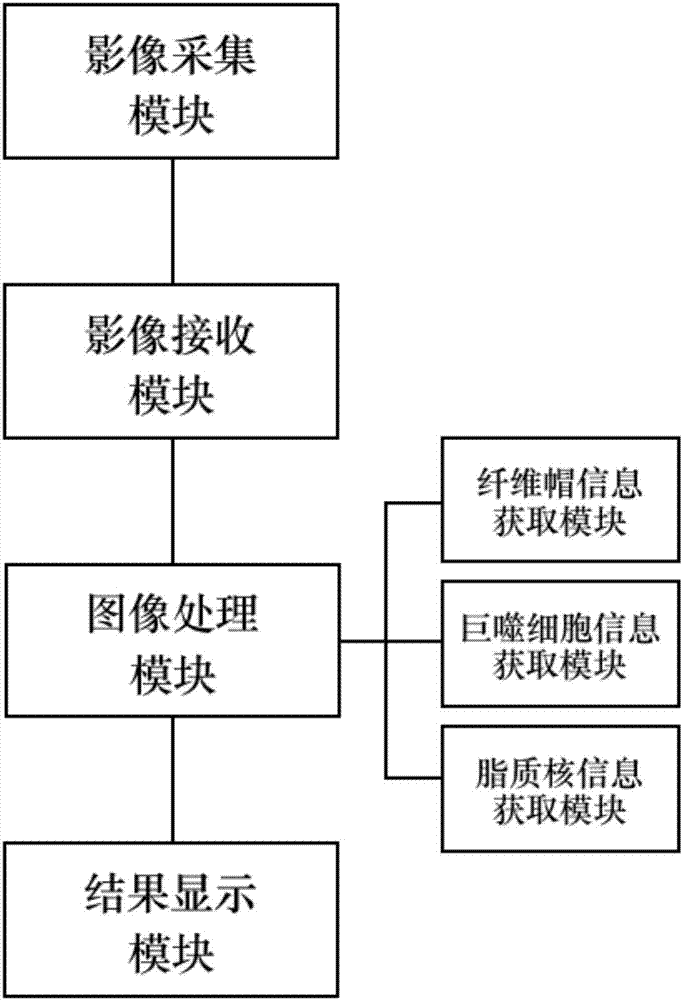 Plaque stability determination method and system based on optical coherence tomography