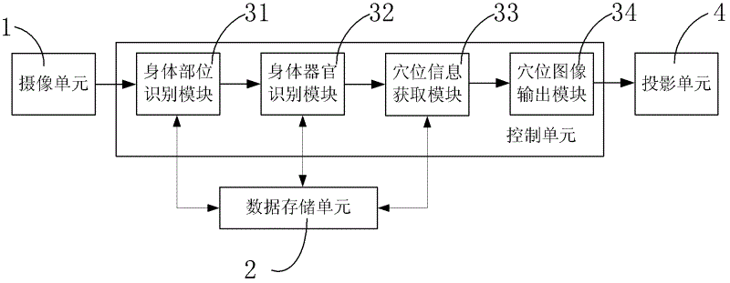 Human body acupuncture point projection demonstration method and device