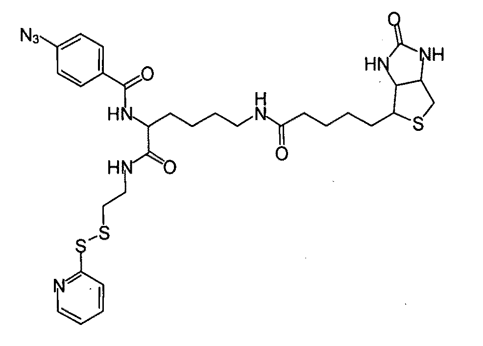 Methods for structural analysis of proteins