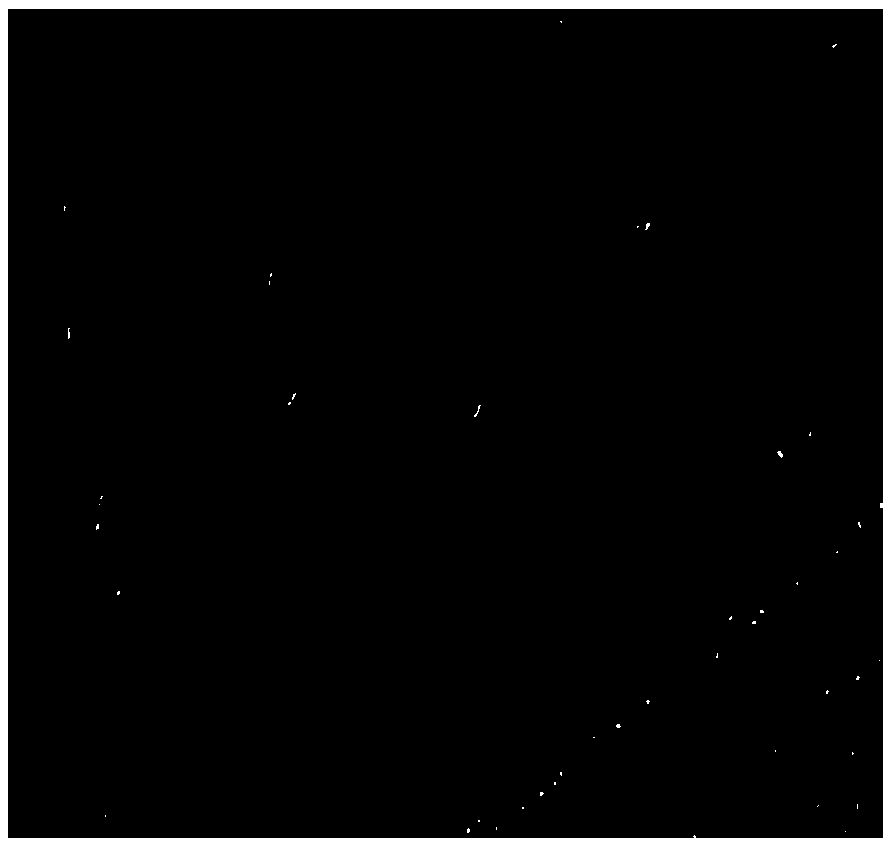 Lactobacillus for inhibiting PEDV (Porcine Epidemic Diarrhea Virus) adhesion