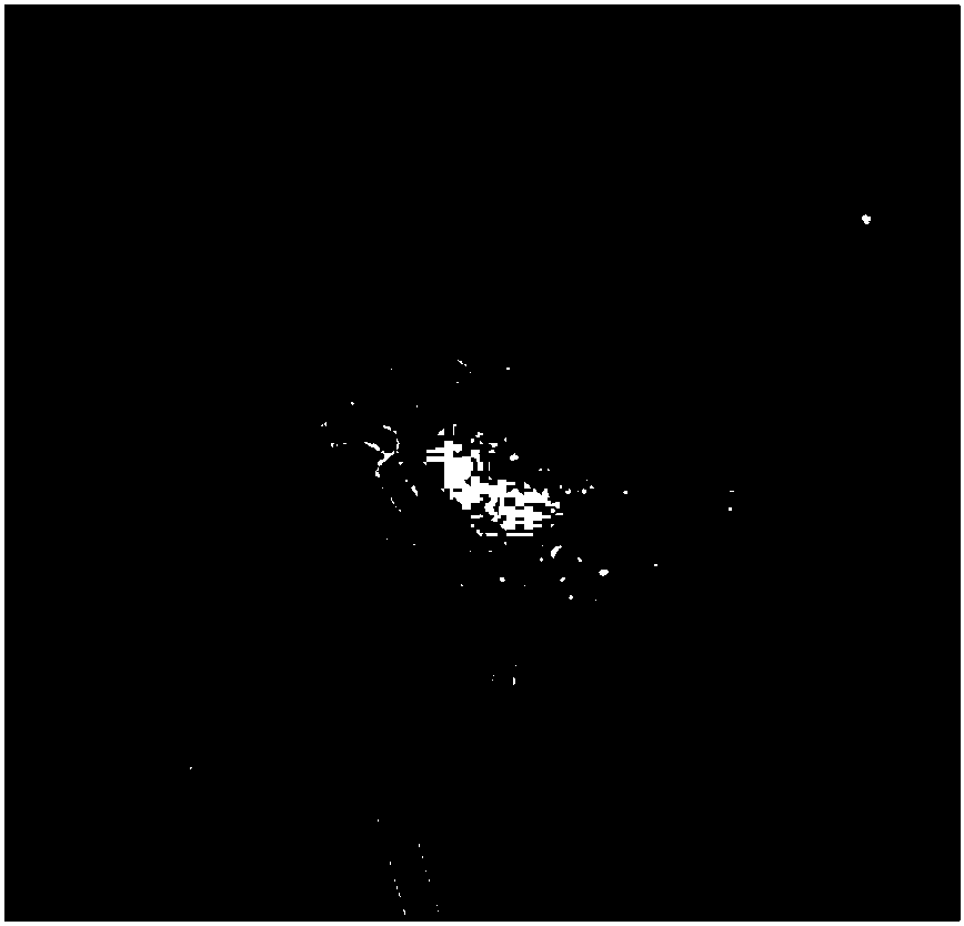 Lactobacillus for inhibiting PEDV (Porcine Epidemic Diarrhea Virus) adhesion