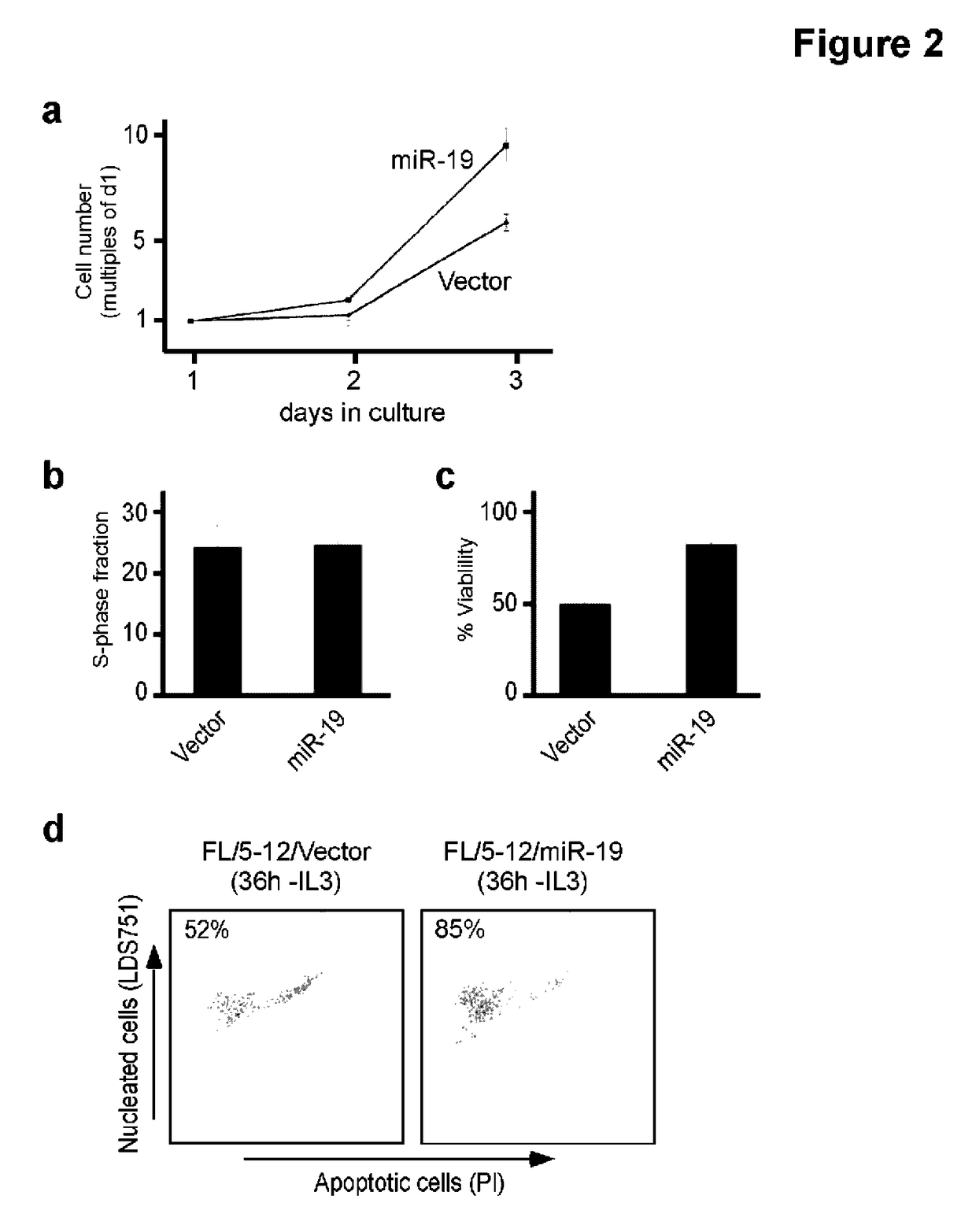 Methods and compositions for the detection and treatment of cancer involving miRNAs and miRNA inhibitors and targets