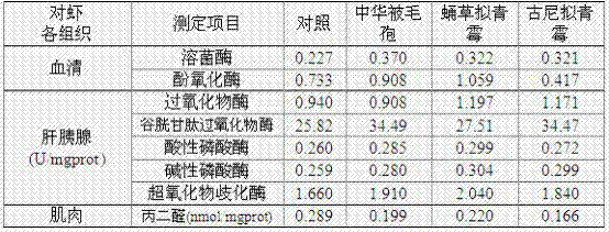 Application of entomogenous fungi liquid fermentation mycelium as prawn feed additive