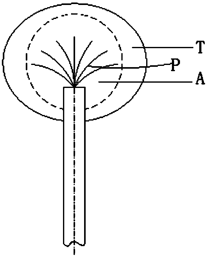 Melting needle assembly and melting system suitable for treating hypertrophic cardiomyopathy