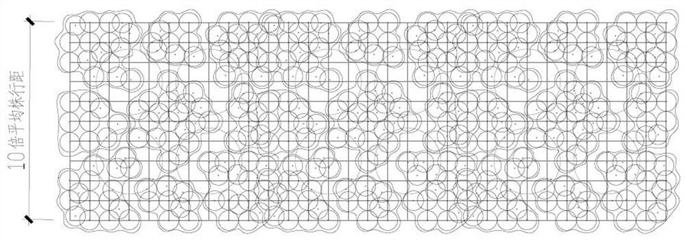 A kind of camphor camphor near-natural ecological forest land construction method