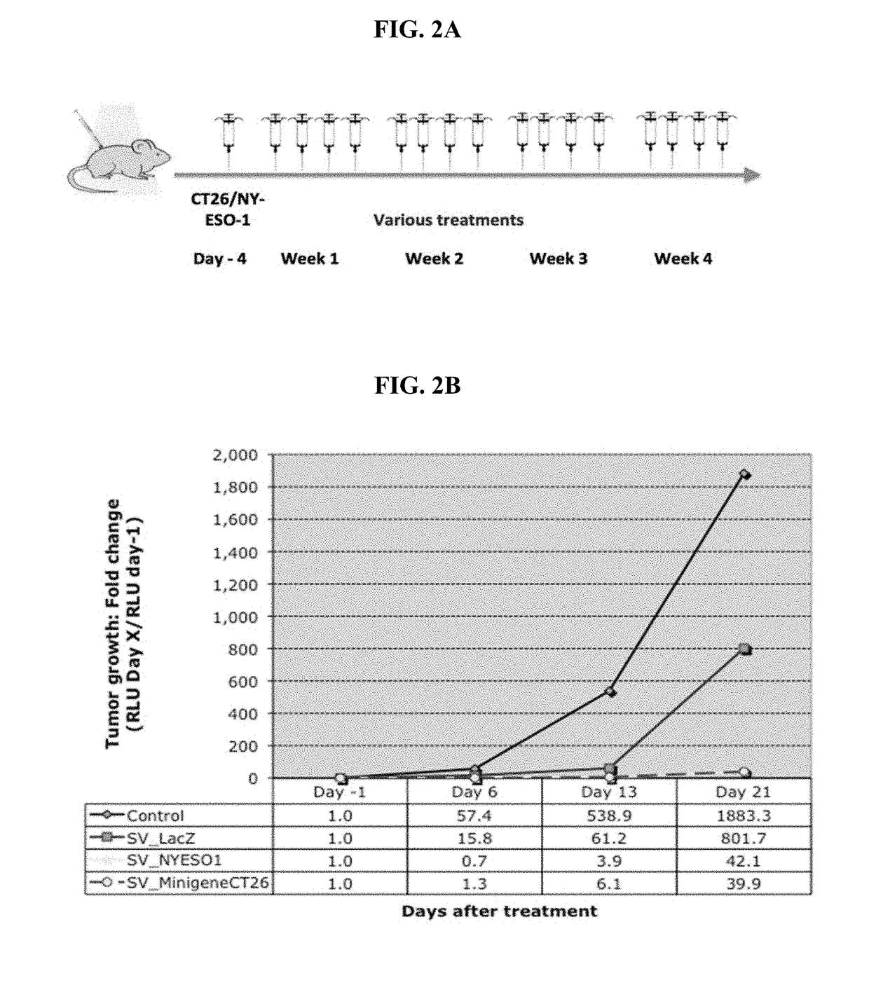 Virus Vectors Expressing Multiple Epitopes of Tumor Associated Antigens For Inducing Antitumor Immunity