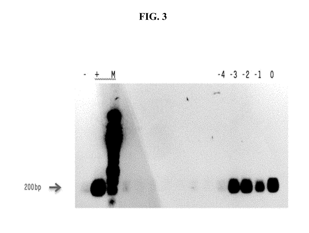 Virus Vectors Expressing Multiple Epitopes of Tumor Associated Antigens For Inducing Antitumor Immunity