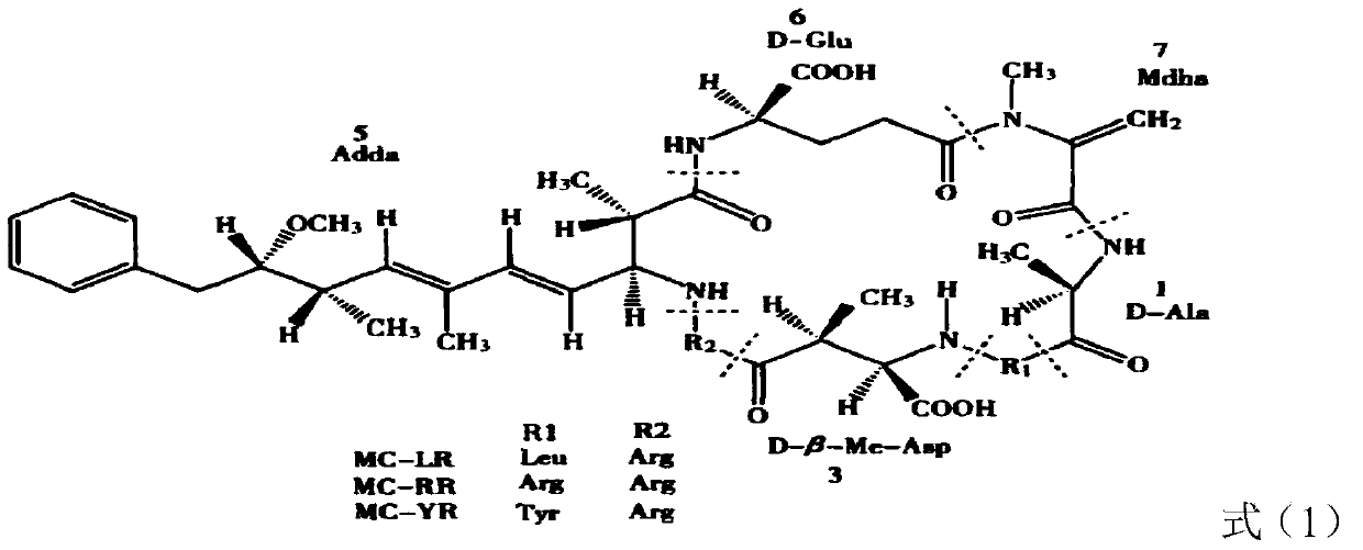 Immobilized algal toxin degrading enzyme as well as preparation method and application thereof