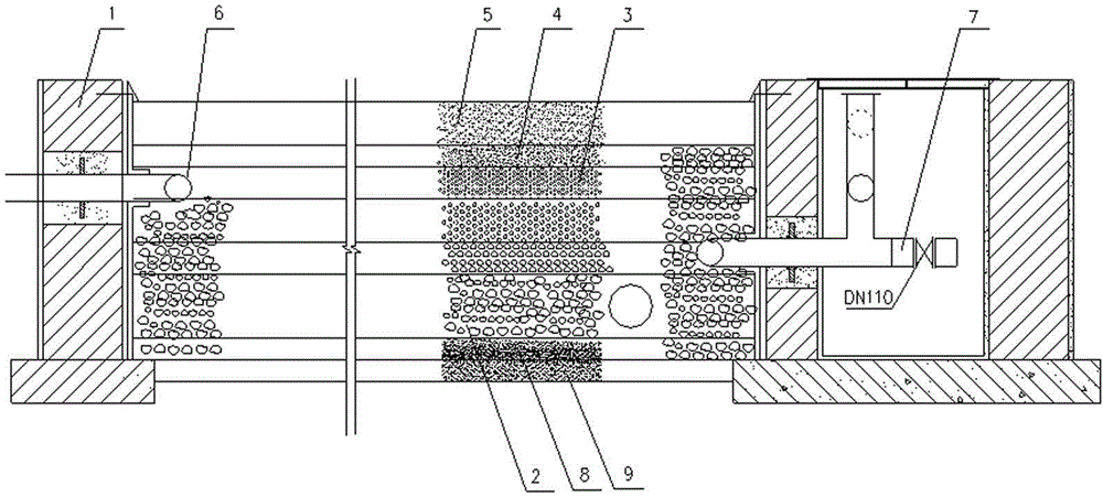 Undercurrent artificial wetland plant breeding and domesticating method