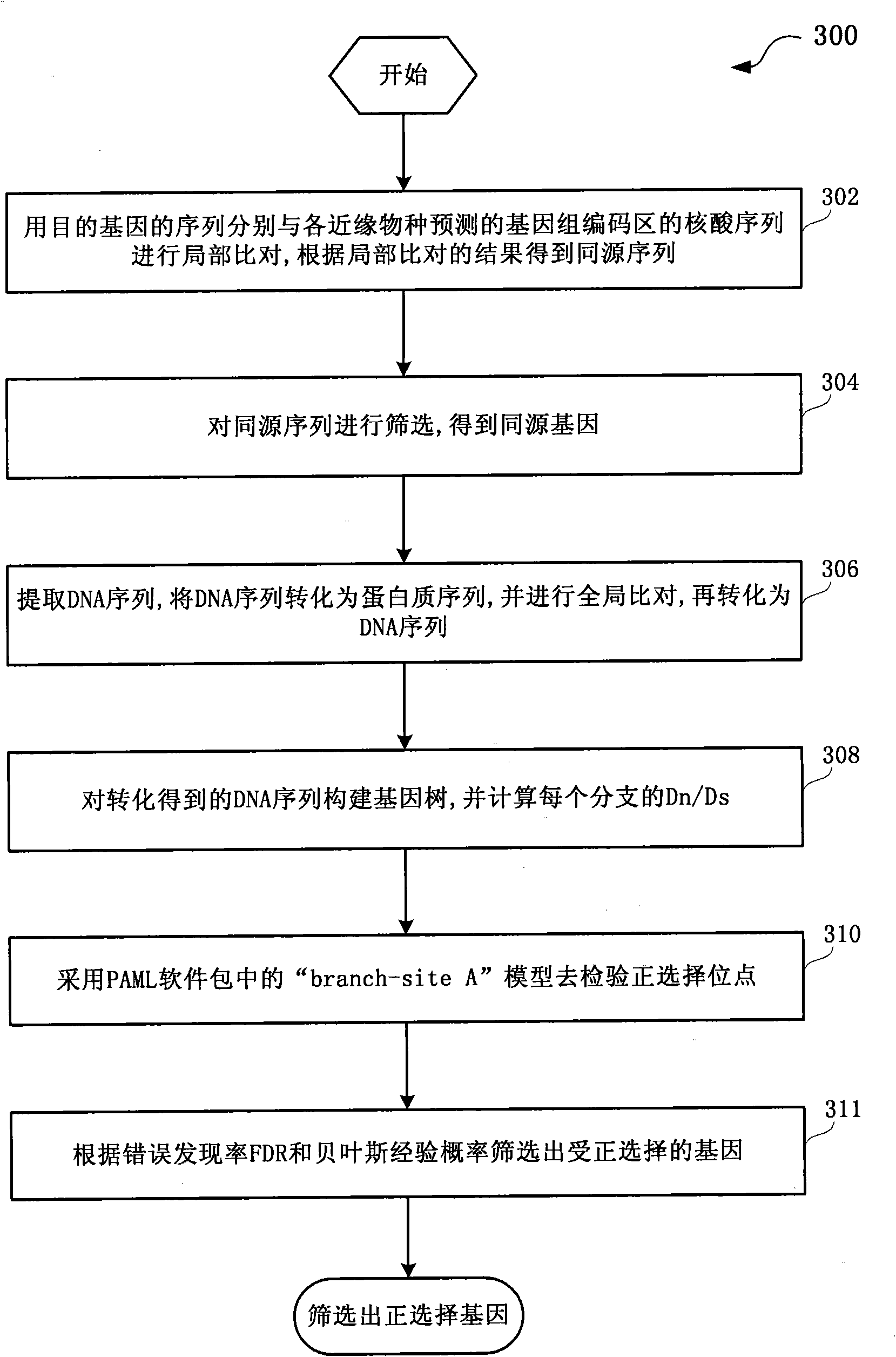 Method and system for detection of phenotype genes and analysis of biological information