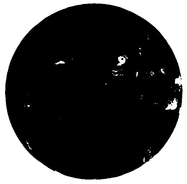 Multi-channel satellite cloud picture fusion method based on Shearlet conversion