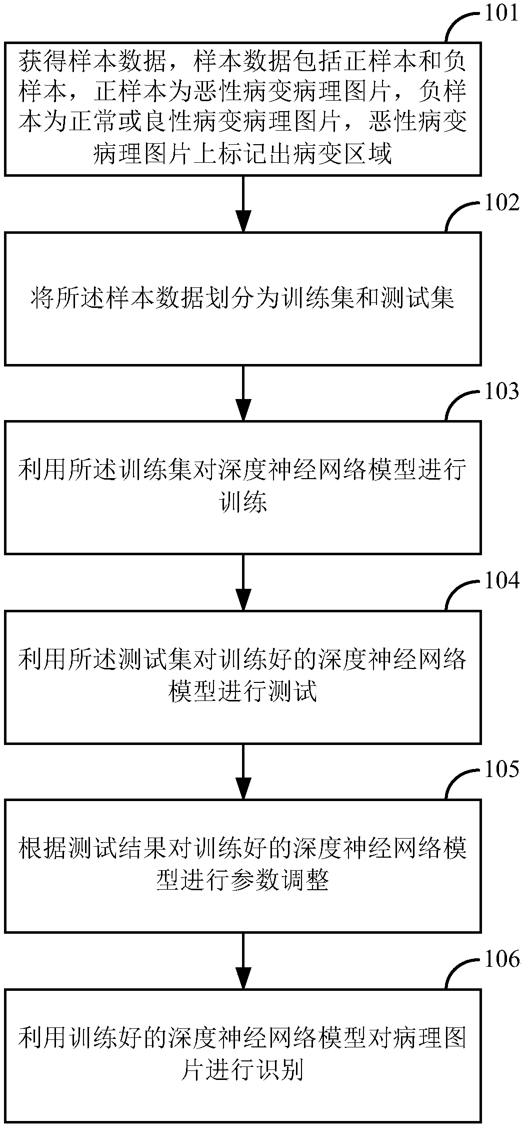 Method and apparatus for identifying pathological picture