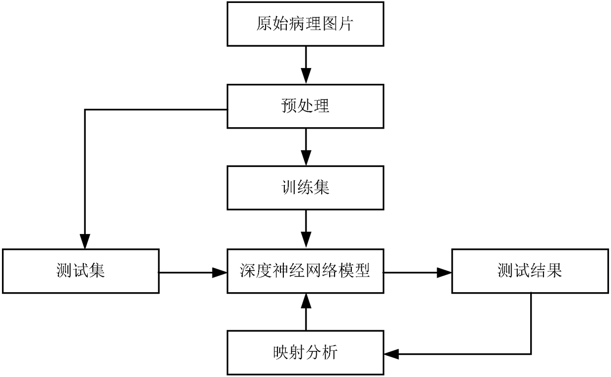 Method and apparatus for identifying pathological picture