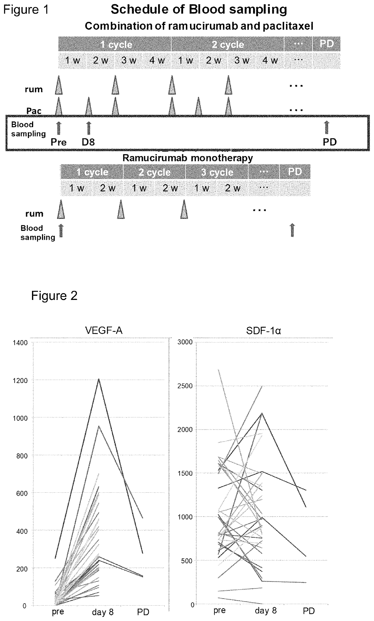 Biomarkers, test method, and test kit for predicting therapeutic effect of anti-VEGFR-2 antibody drug