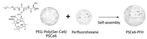 Oxygen-carrying nano photosensitive preparation as well as preparation method and application thereof