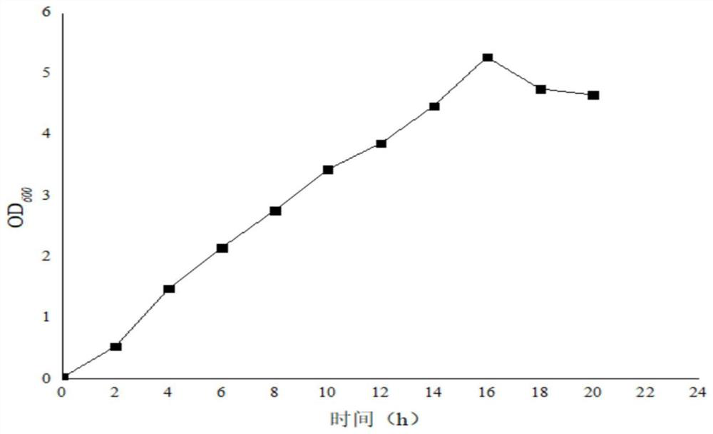 Stenotrophomonas maltophilia and application thereof