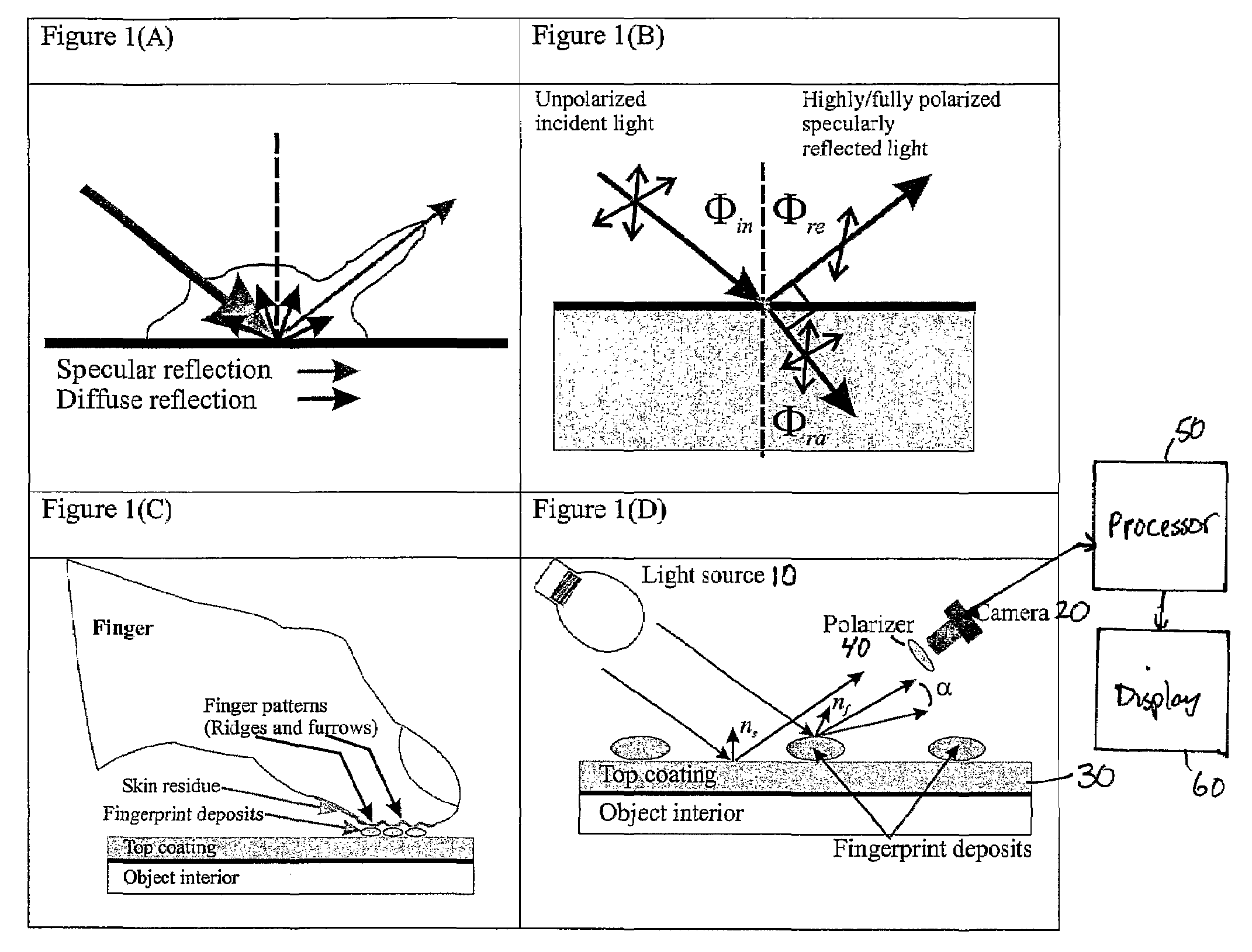 Polarization and reflection based non-contact latent fingerprint imaging and lifting